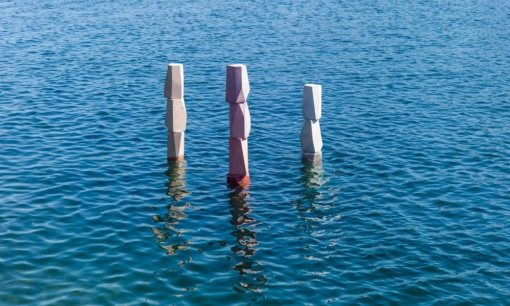 SUPERFLEX. There Are Other Fish In The Sea