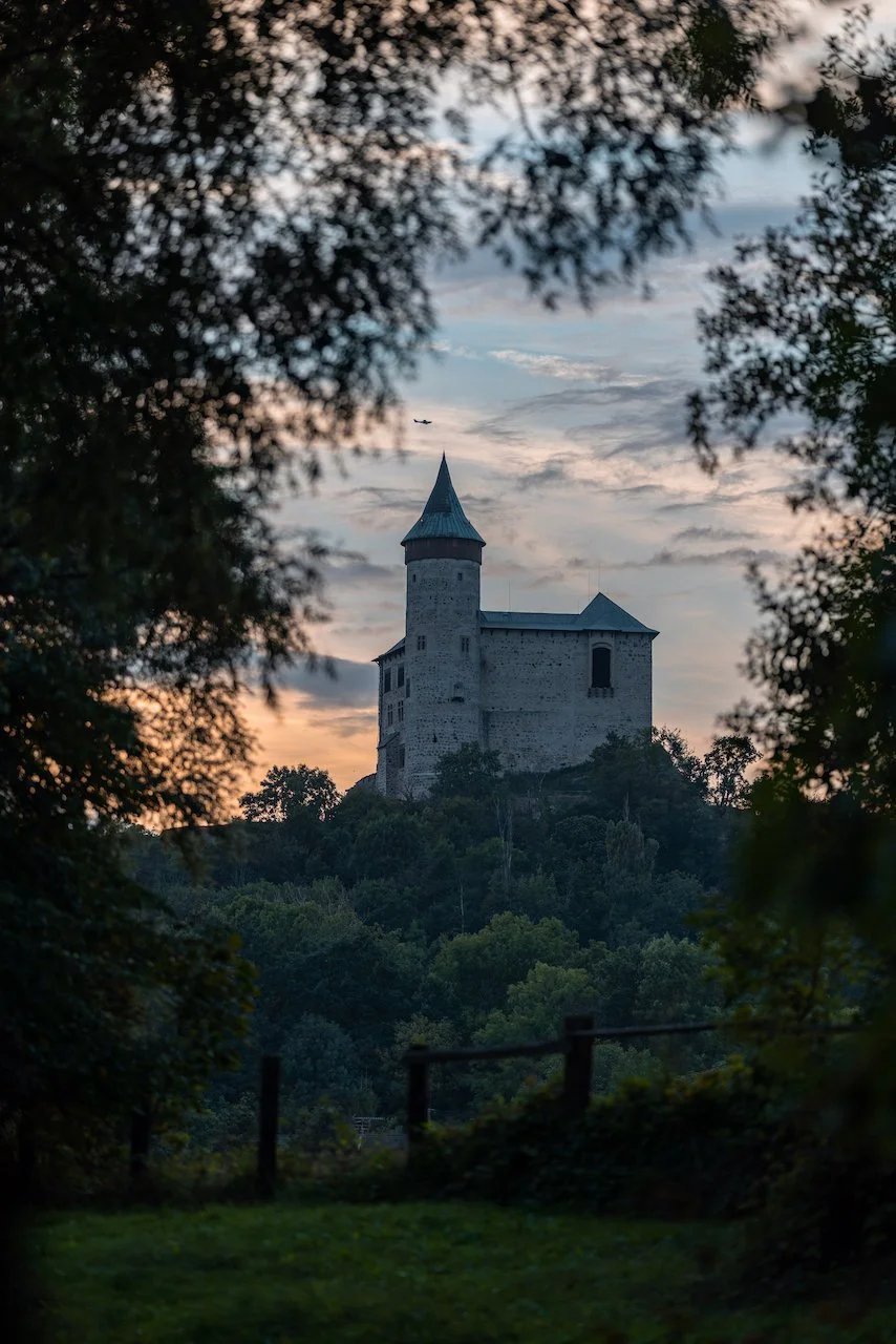 Zlatka & Jirka full res-02621 (1).jpeg