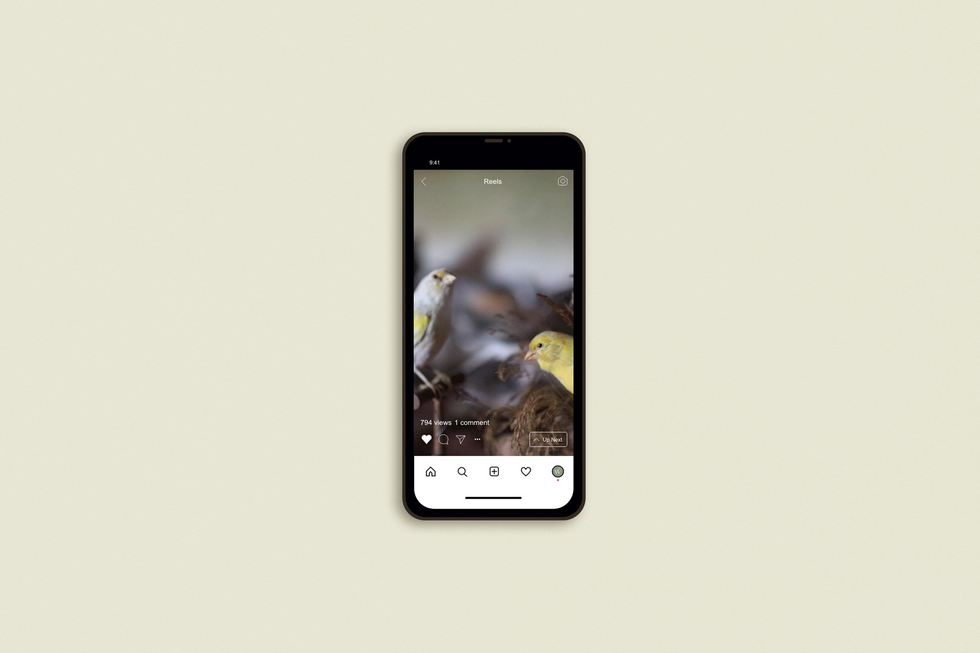 Brand Video