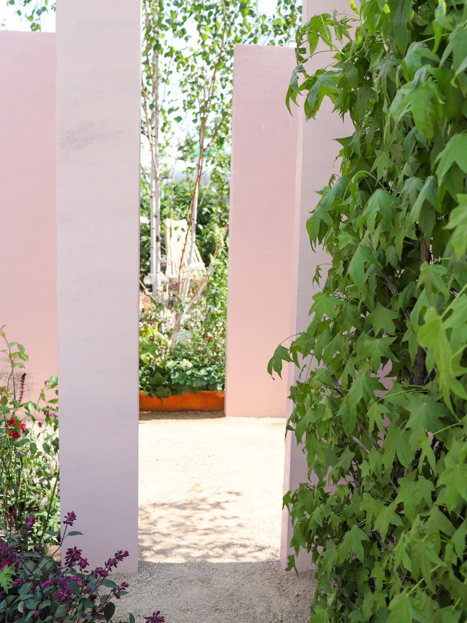 View to a garden chair through soft pink walls and tall green planting