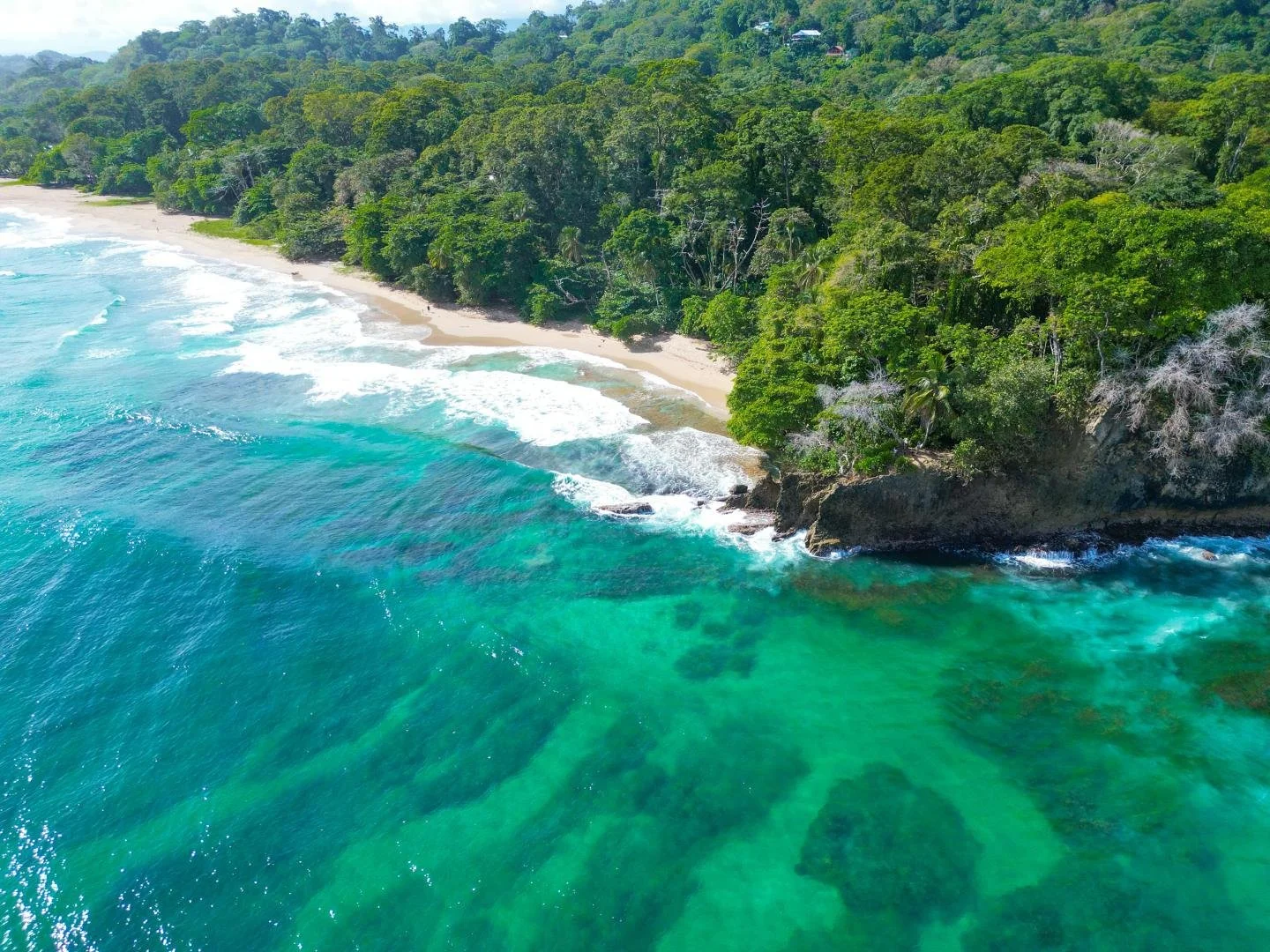 Aerial drone image of Costa Rica in the Caribbean.jpg