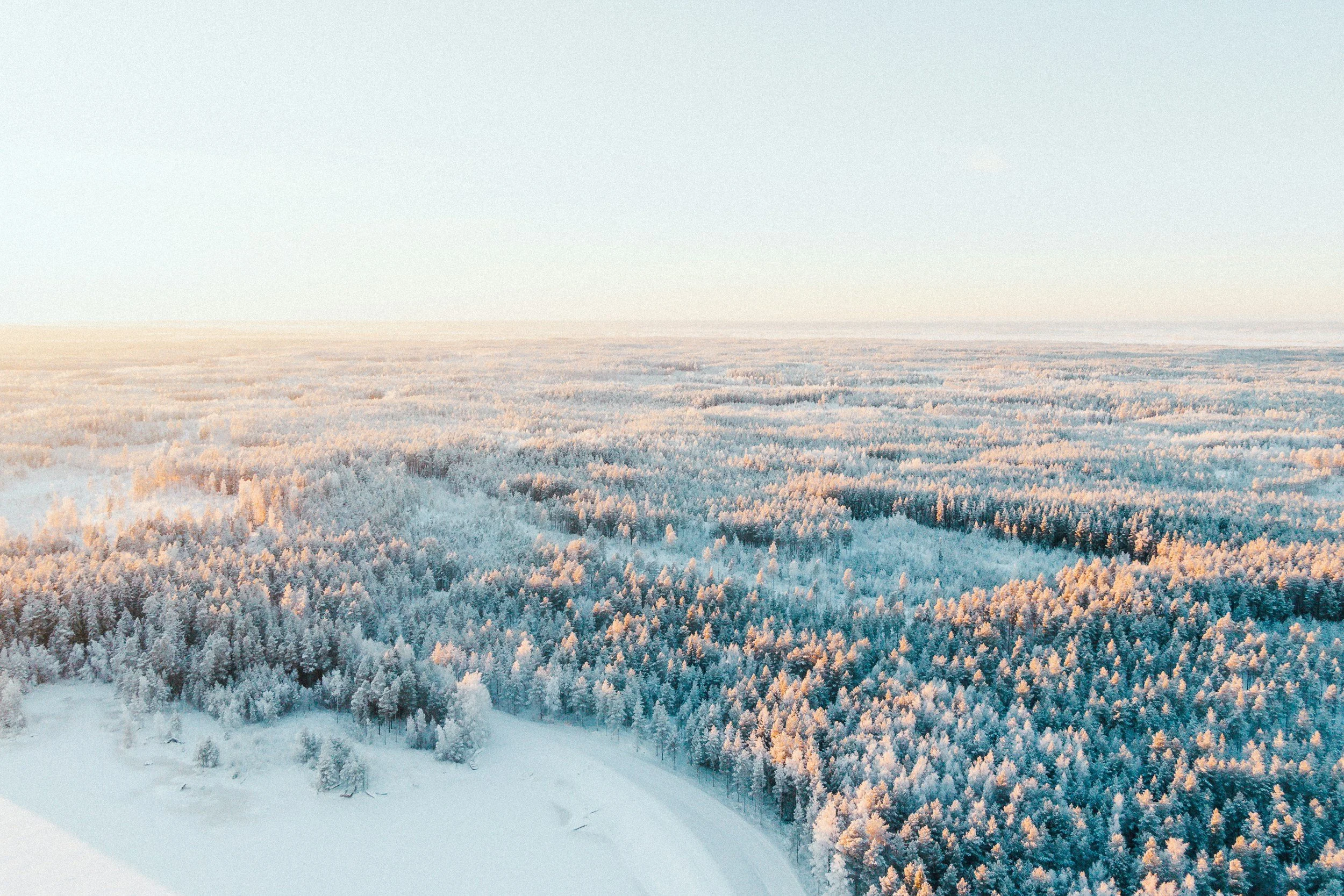 Finland: Husky Tours, Midsummer, and Heli-Skiing in Lapland