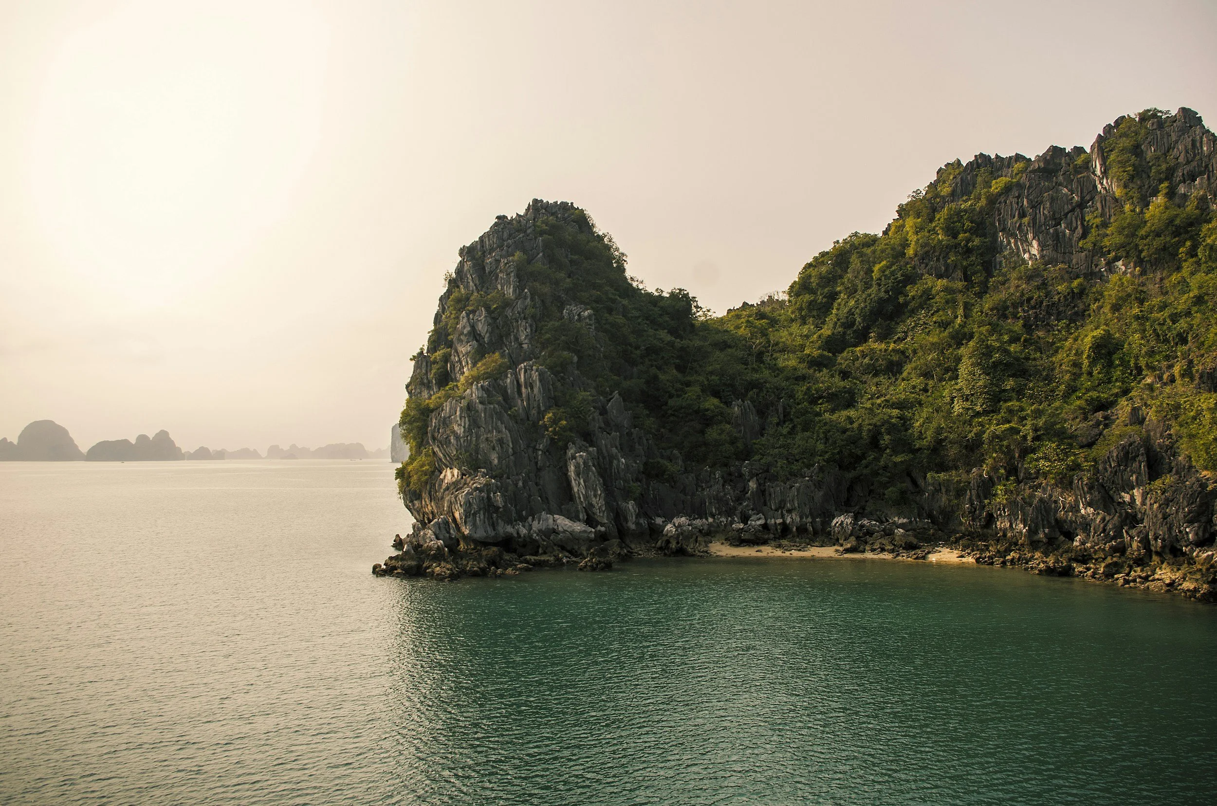 unsplash-image-gcOe9JA4_90.jpg