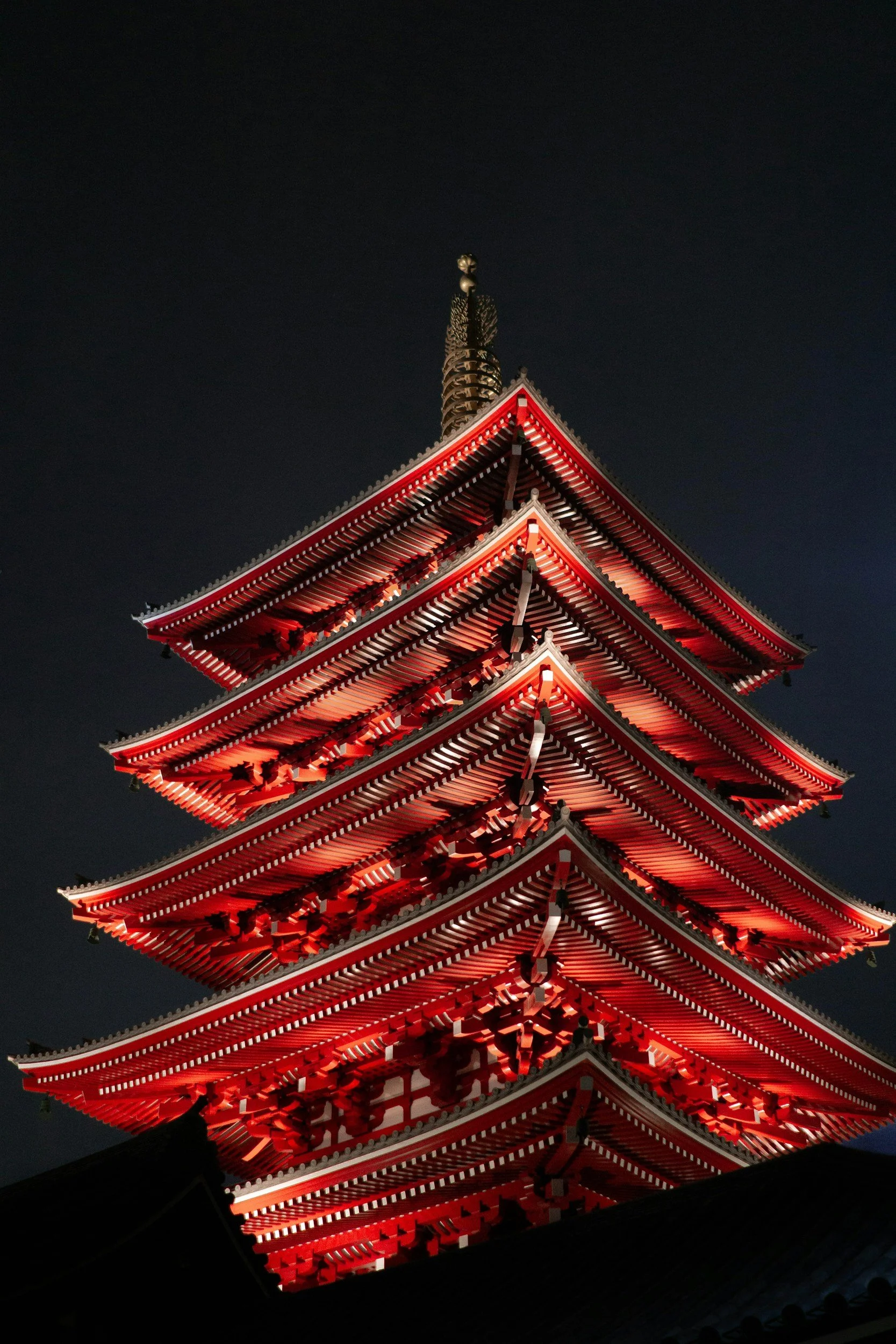 unsplash-image-2_f83Sqwdrg.jpg