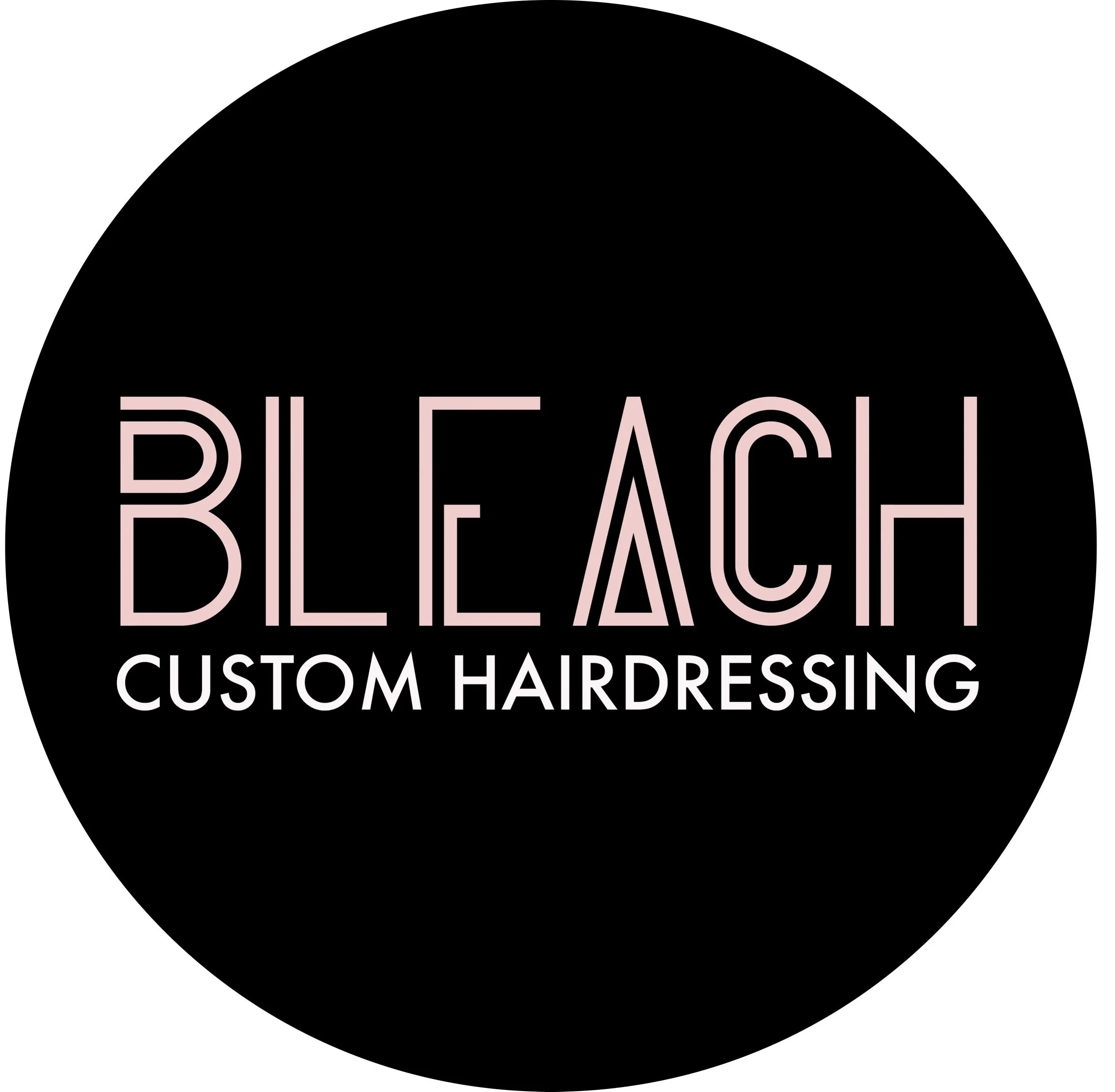 Bleach Logo.jpg
