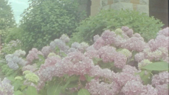 Postcards from a day so perfectly Maggie &amp; Mark - a day that felt like stepping into a Nancy Meyers movie. Soft hydrangeas nodding in the breeze, a peaceful morning at the estate, and a ceremony with joy that lights up entire rooms. Their garden 