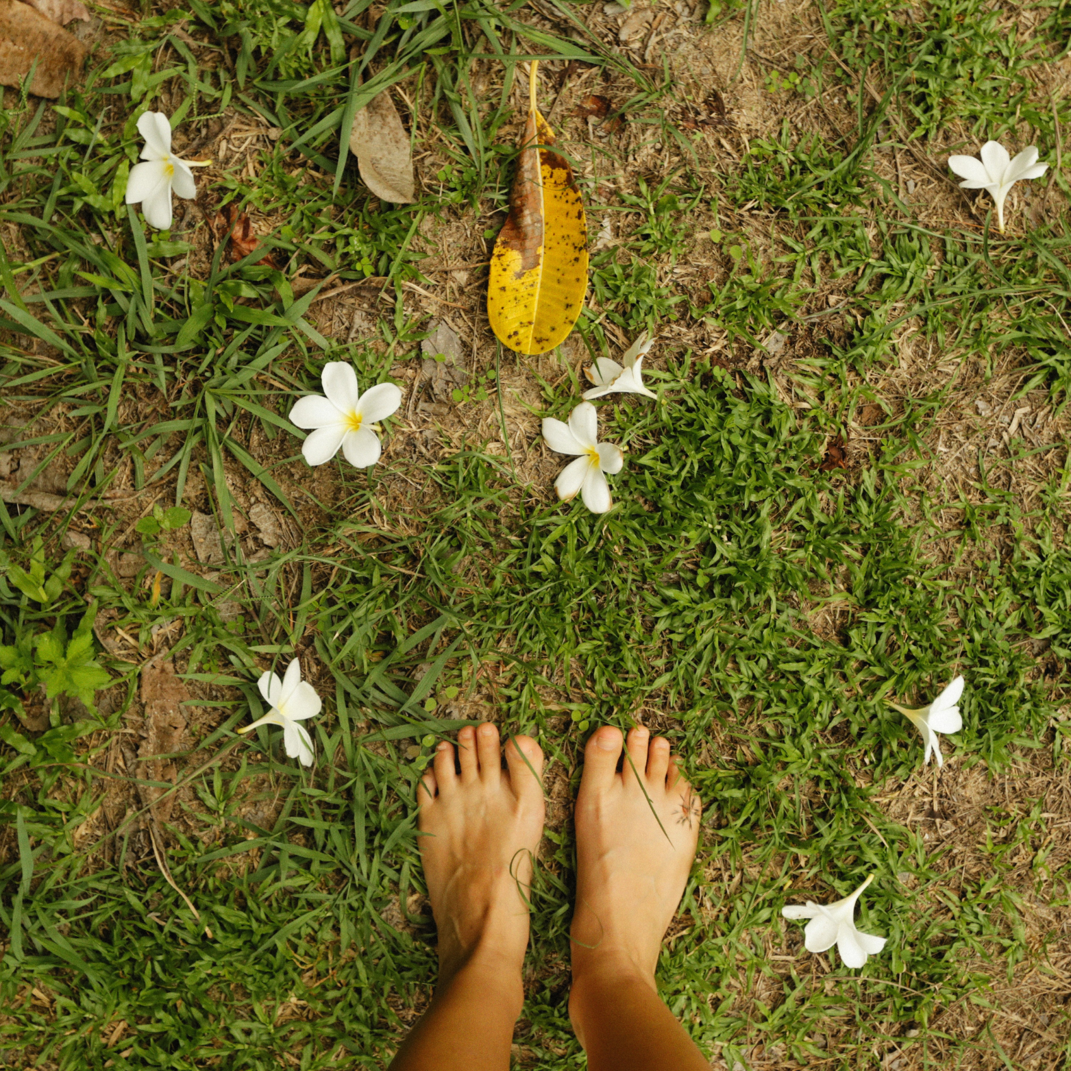 Finding Ease and Resilience Through Grounding