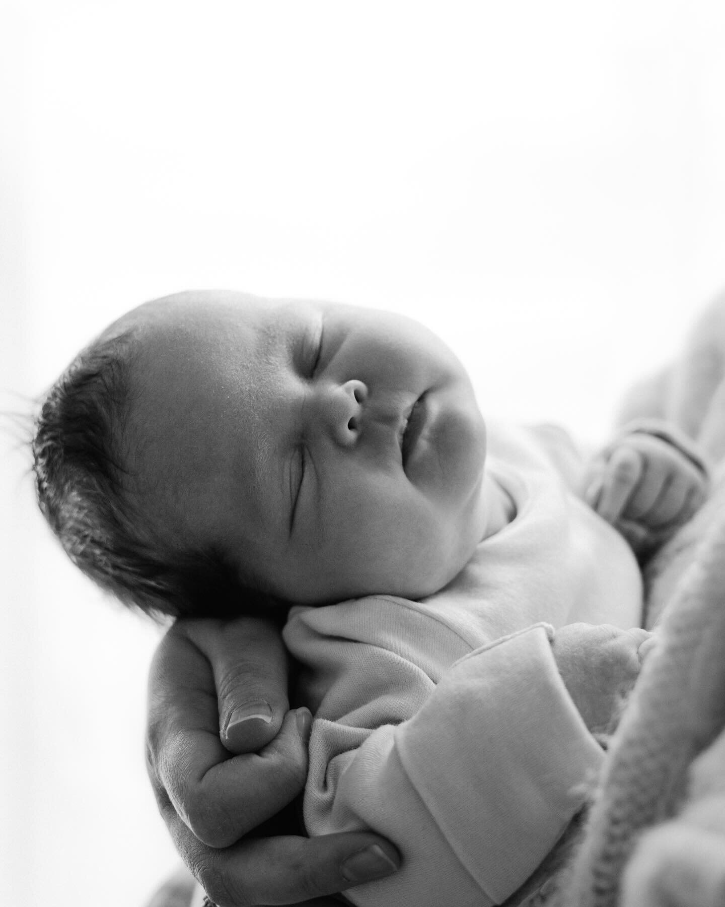 Another couple of special moments from this at-home newborn shoot.
🤍

#naturalnewbornphotography#newbornphotography #athomenewbornphotography #thelifestylecollective #monochromaticlens #naturallightnewbornphotography #naturalfamilyphotography #authe