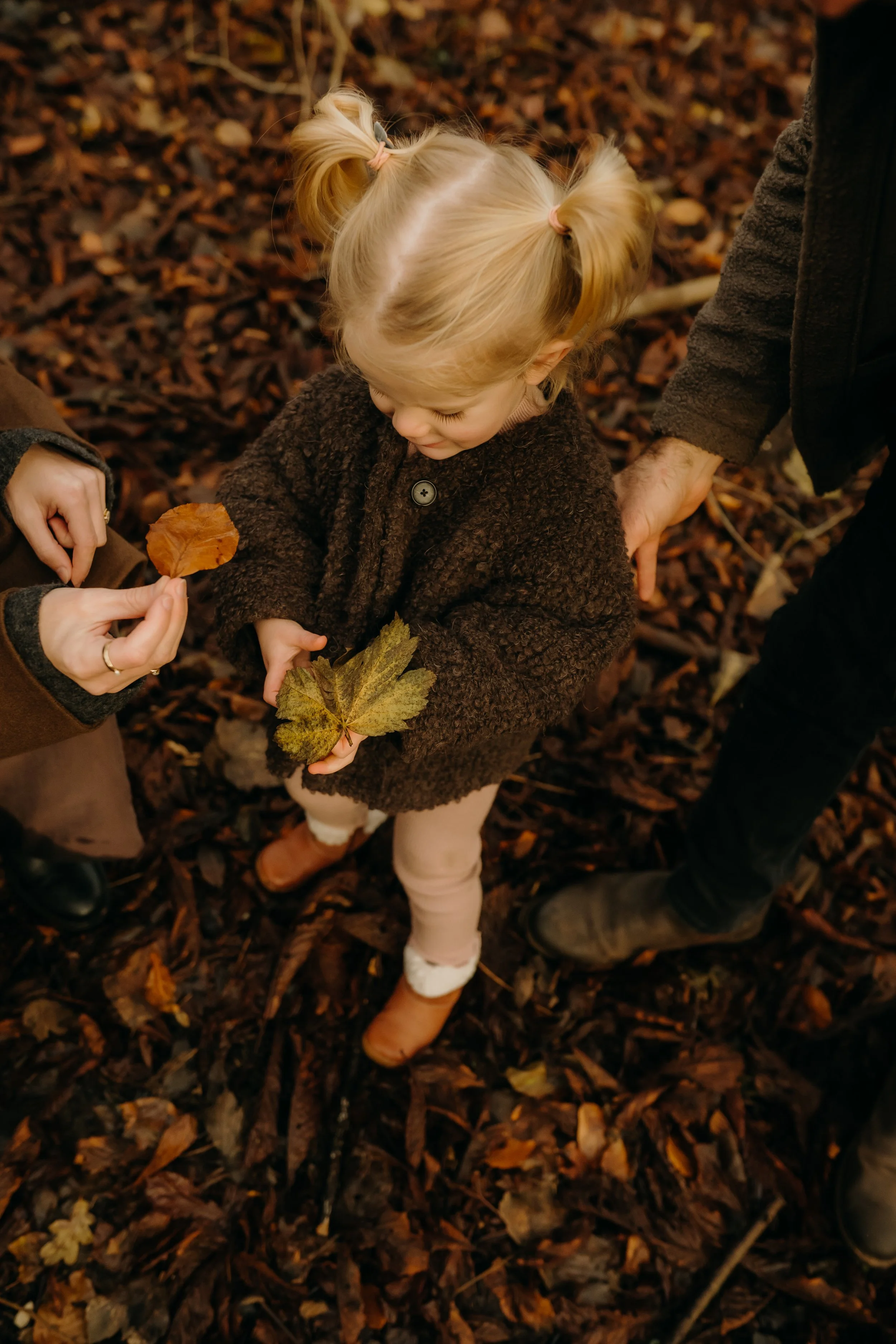 6-12-25-Maisie-Banks-Photography-Family-Photography-Autumn-Mini-Vicki-Puttick-19.jpg