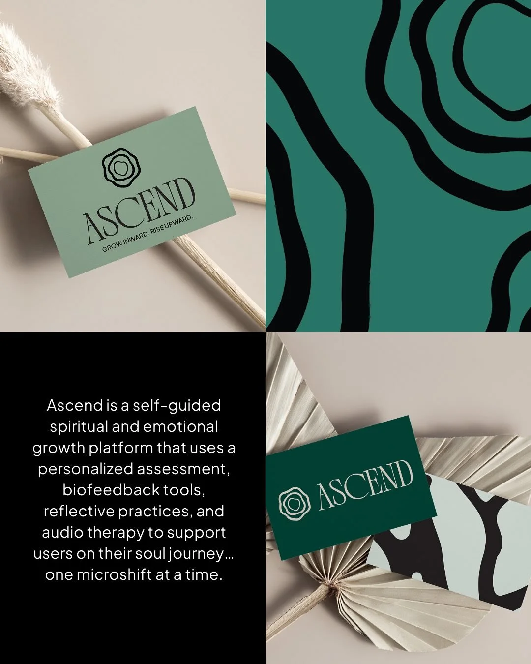 Brand Identity Design complete for Ascend by Life Unlimited. Ascend is a self-guided spiritual and emotional growth platform that uses a personalized assessment, biofeedback tools, reflective practices, and audio therapy to support users on their sou