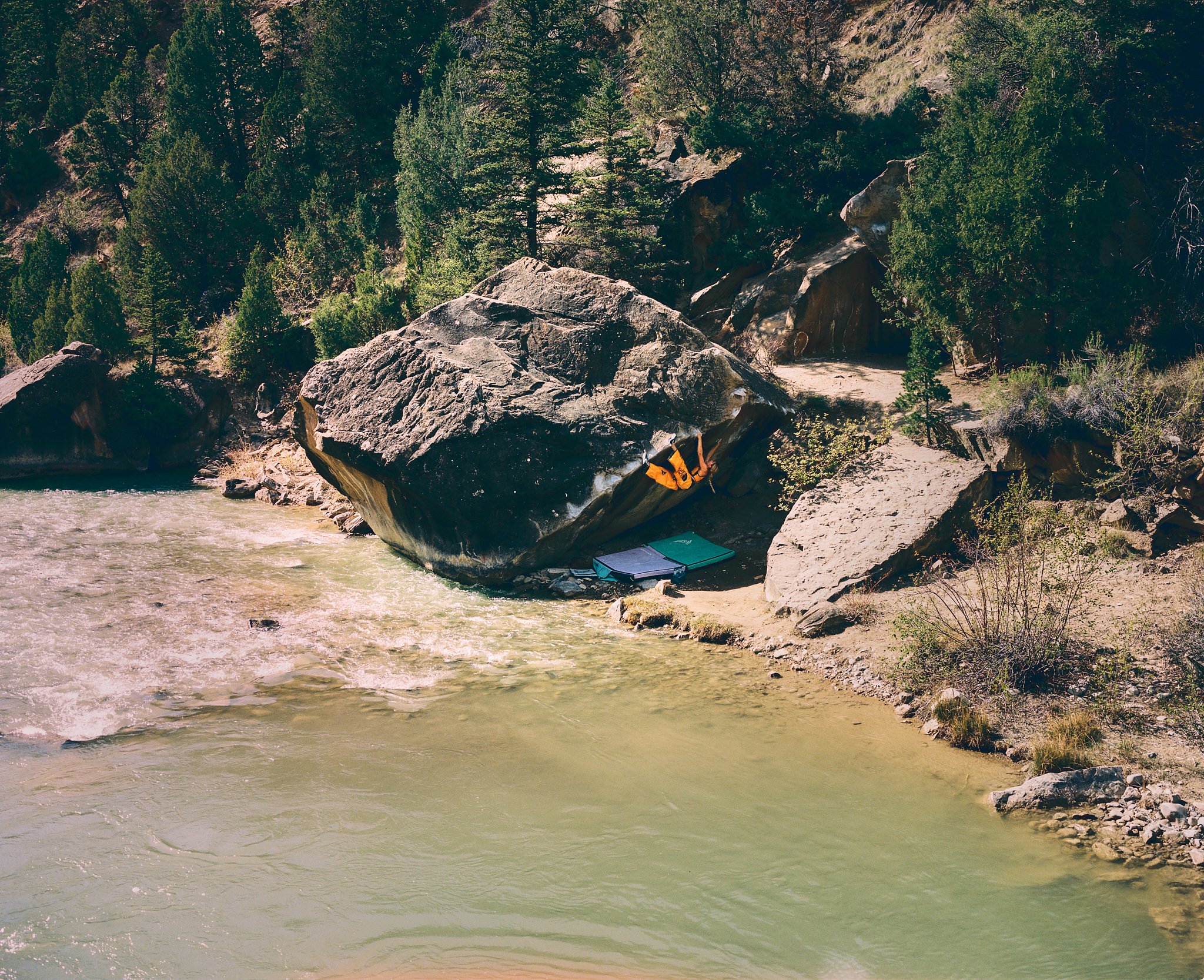 260430_TNF_AVest_Portra400 (5).jpg