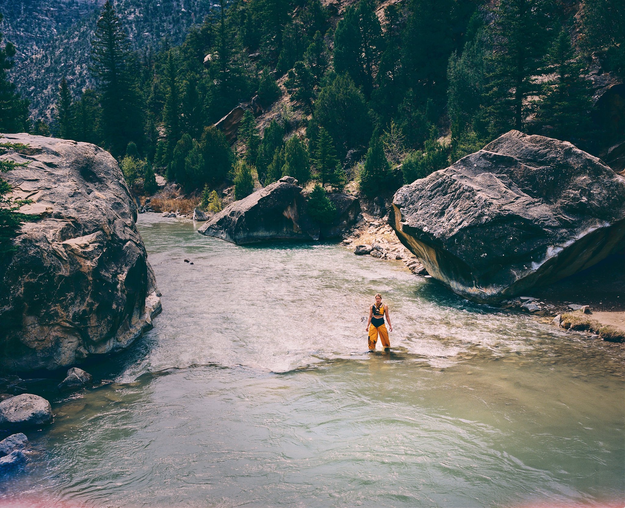 260430_TNF_AVest_Portra400 (7).jpg