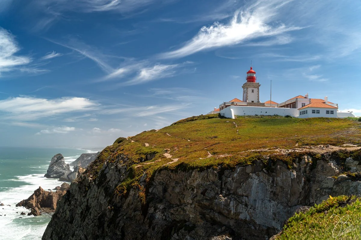 _DSC6101-1_SM copy.jpeg