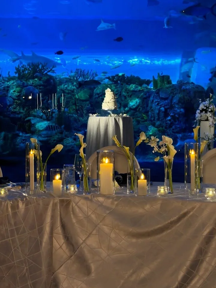 Bonnie and Victor&rsquo;s wedding at Mote SEA last week was nothing short of magical. From breathtaking custom ice sculptures to an immersive dining experience that captivated every sense. Elegant, enchanting, and unforgettable! @loveonrecordcontent 