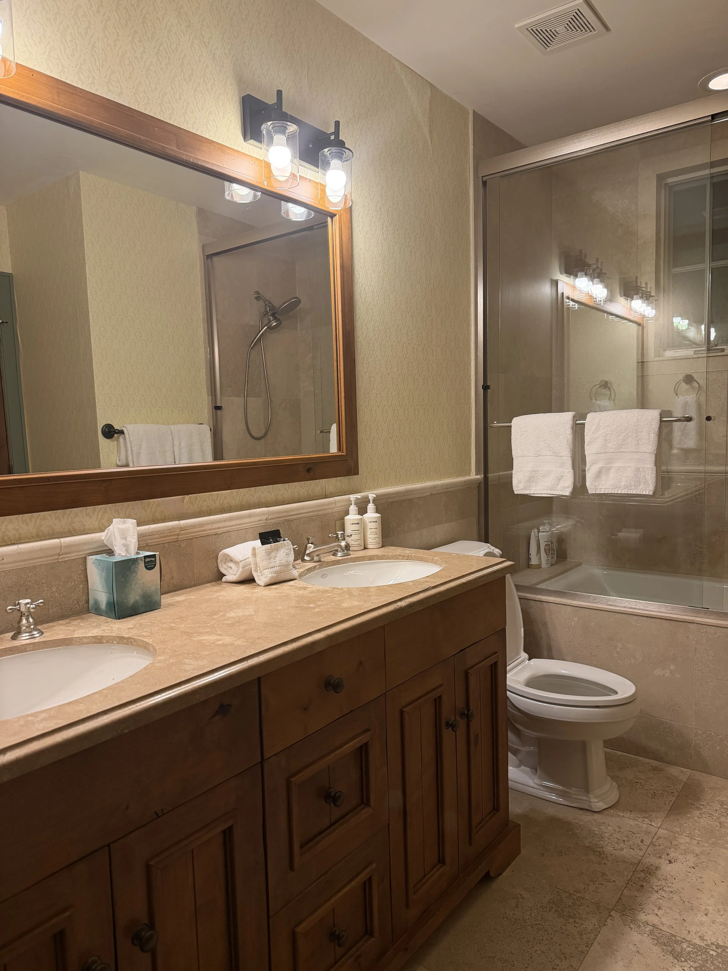 Lower Level Bathroom