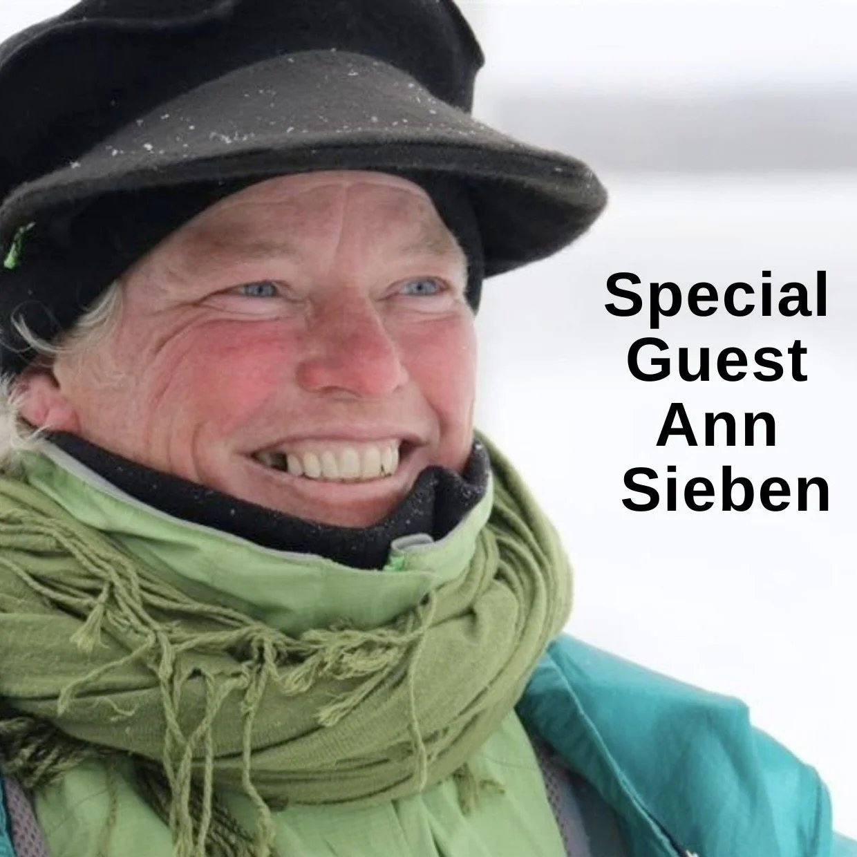 Camino Wisdom Stories