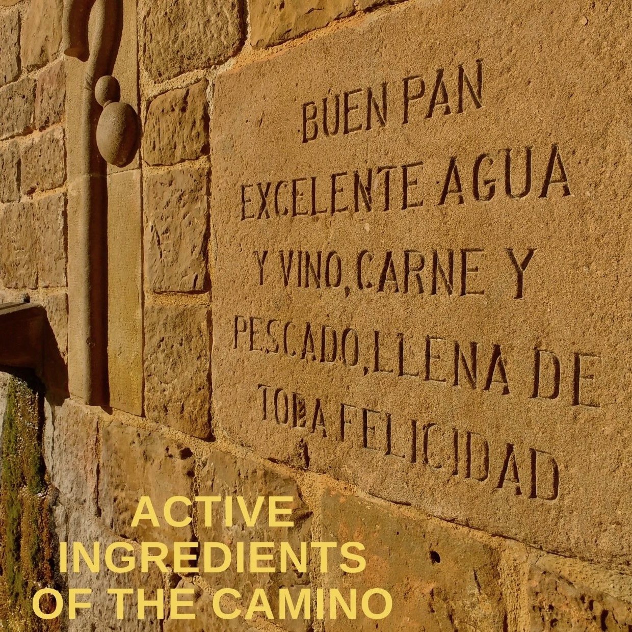 Camino Wisdom Stories