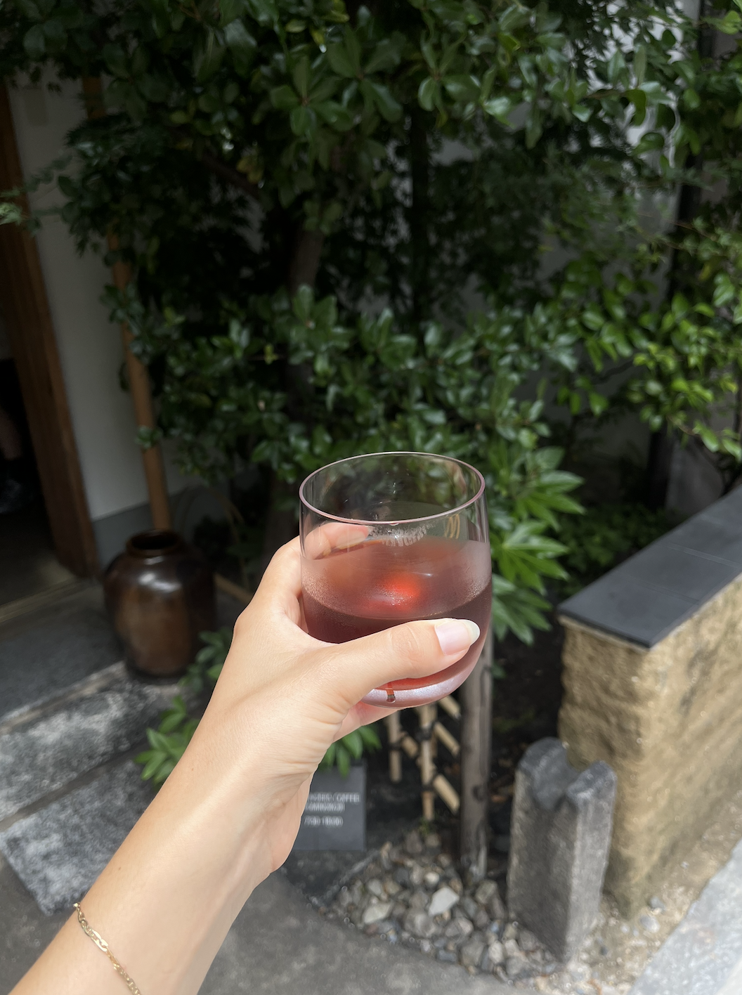 everything to know about japan before visiting.png