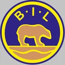 Bortekamp mot Bjørnevatn