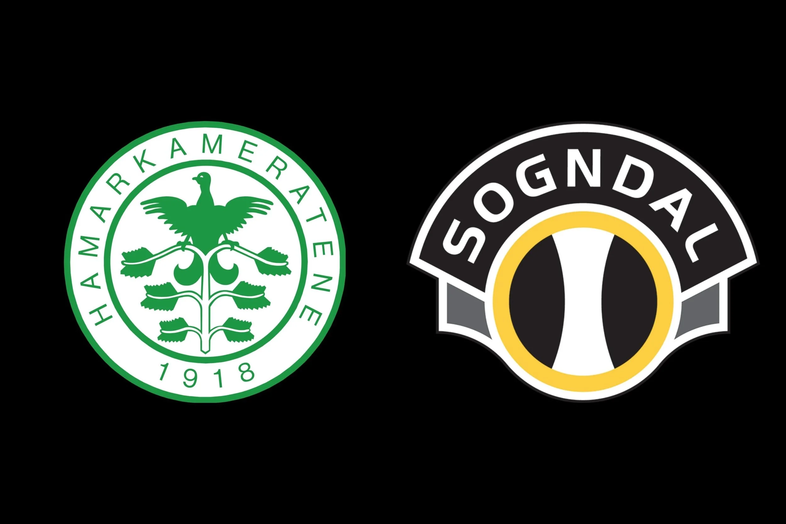 Treningskamp: HamKam - Sogndal