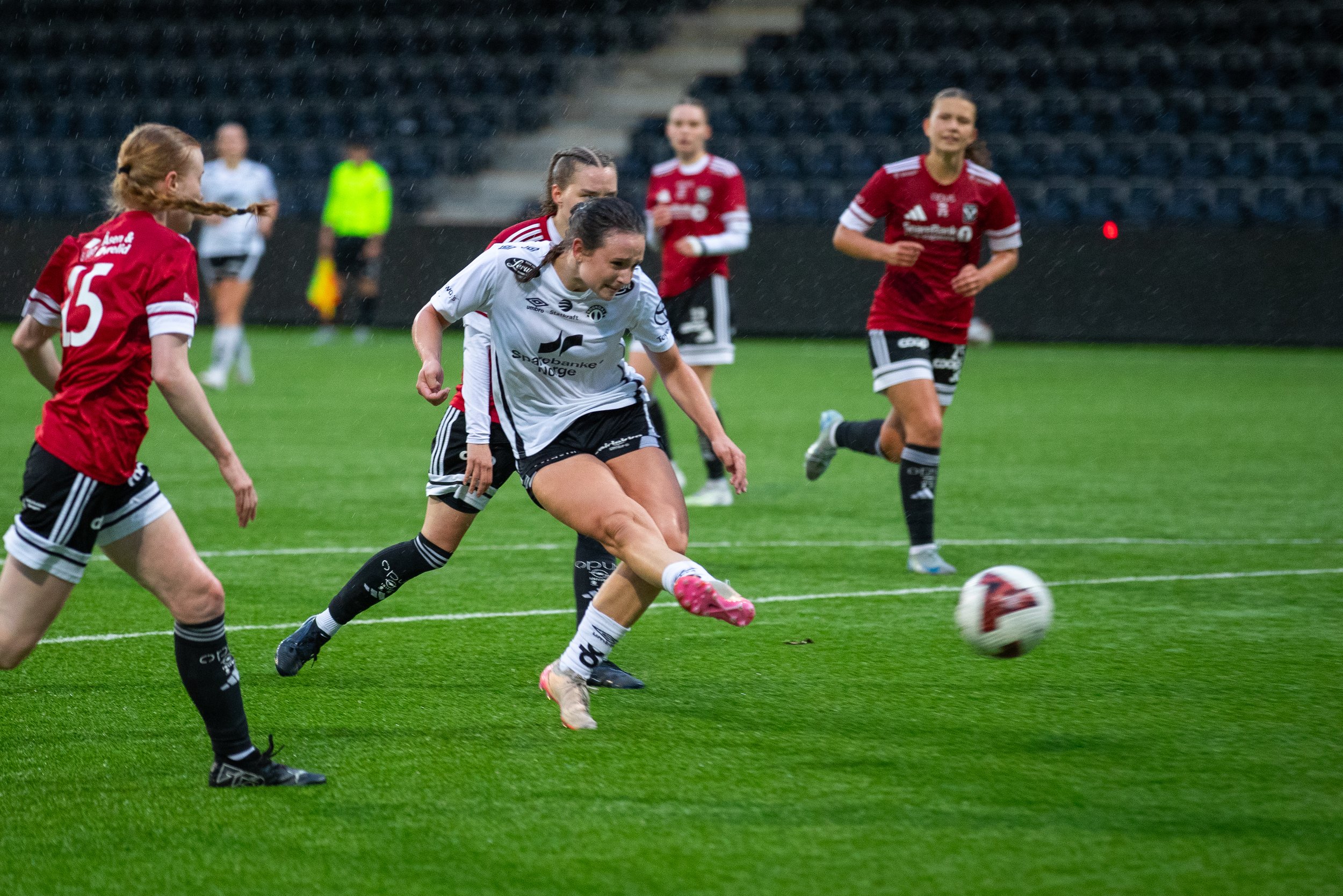 _MGL9131.jpg