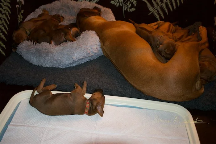 Last box cuddle with mama