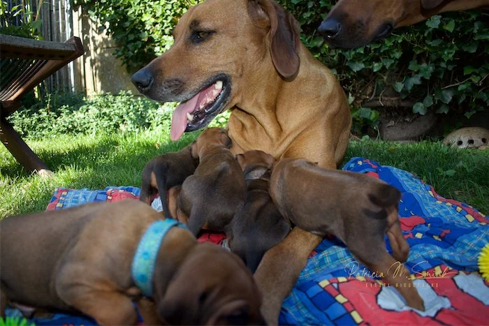 outside with mama2