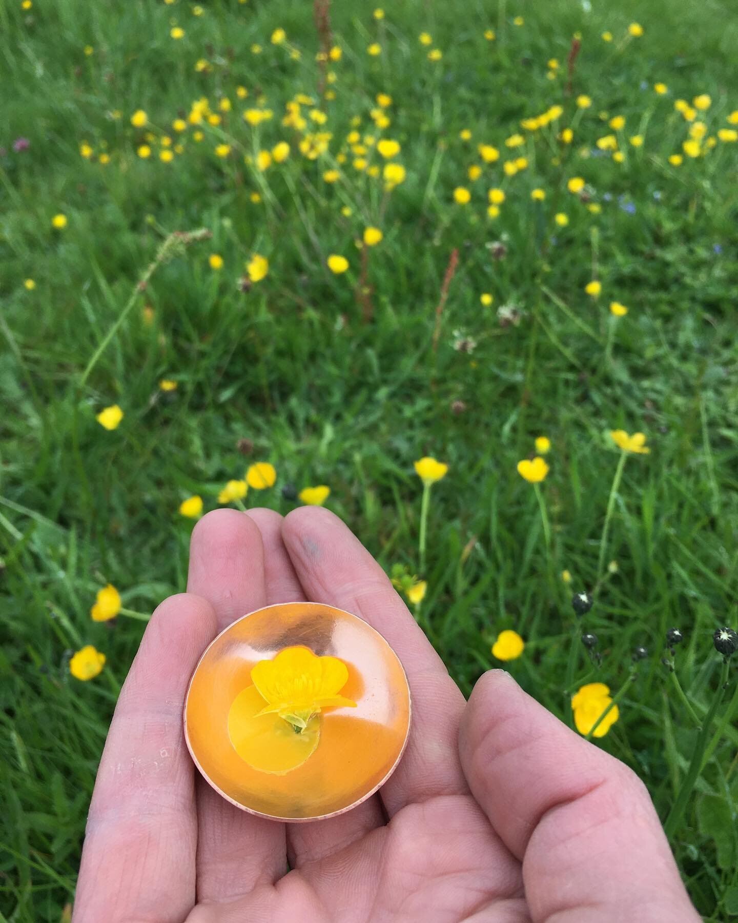 See how the warmth of copper absorbs and reflects the colours around it. Dishes available to buy, or get in touch if you would like to make one of your own at my studio. Something to carry yer buttercups in☺️#smallcopperbowls #copperdish #privatetuit