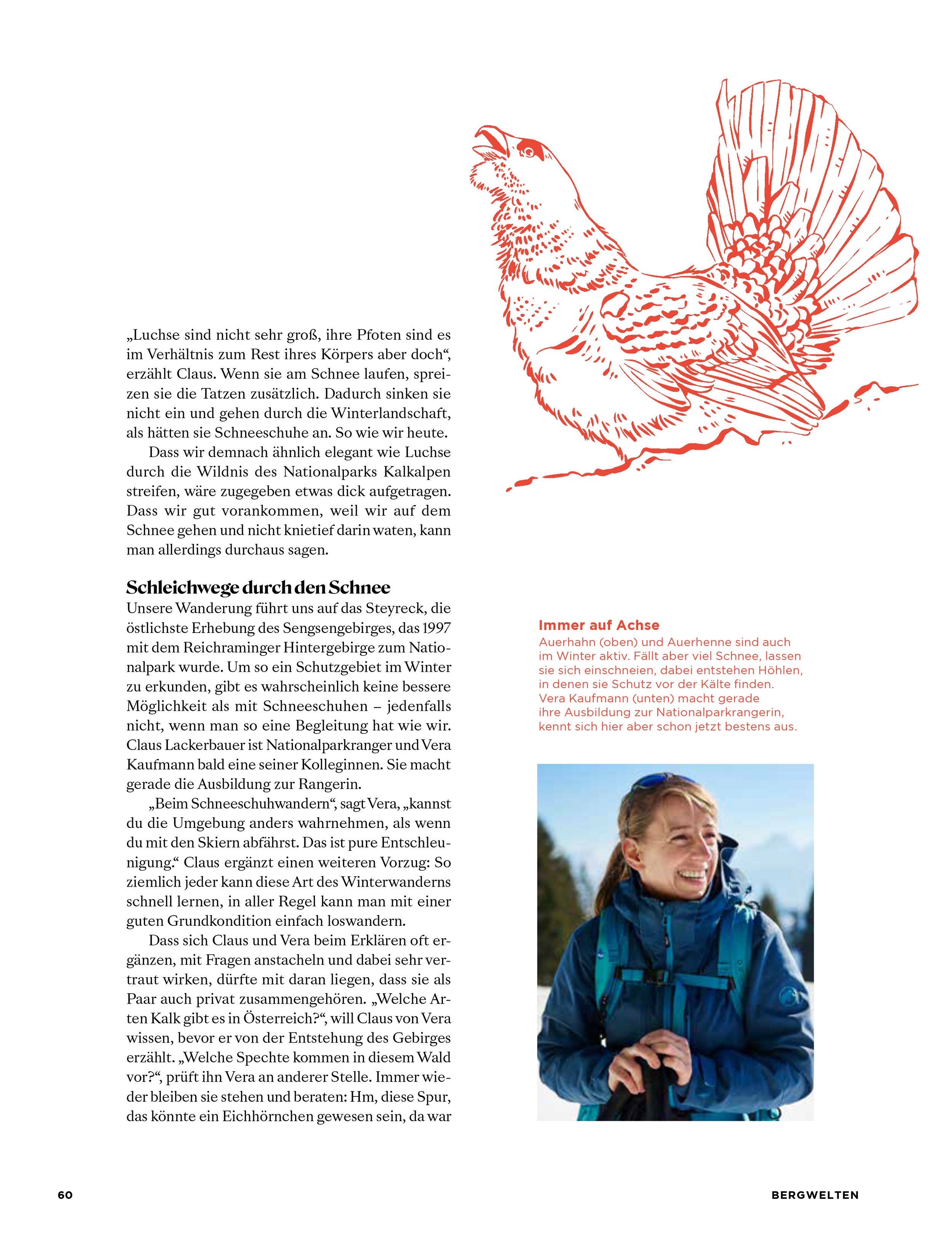 Bergwelten Editorial Illustration Sandra Neuditschko 2.jpg