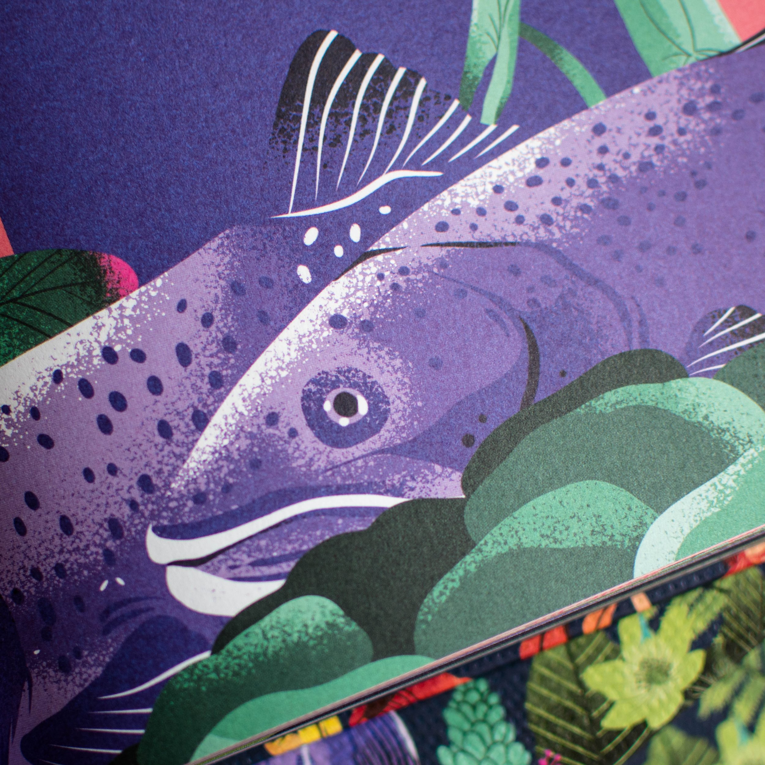 Bio-Diversi-Was Sandra Neuditschko Illustration Book (12).jpg