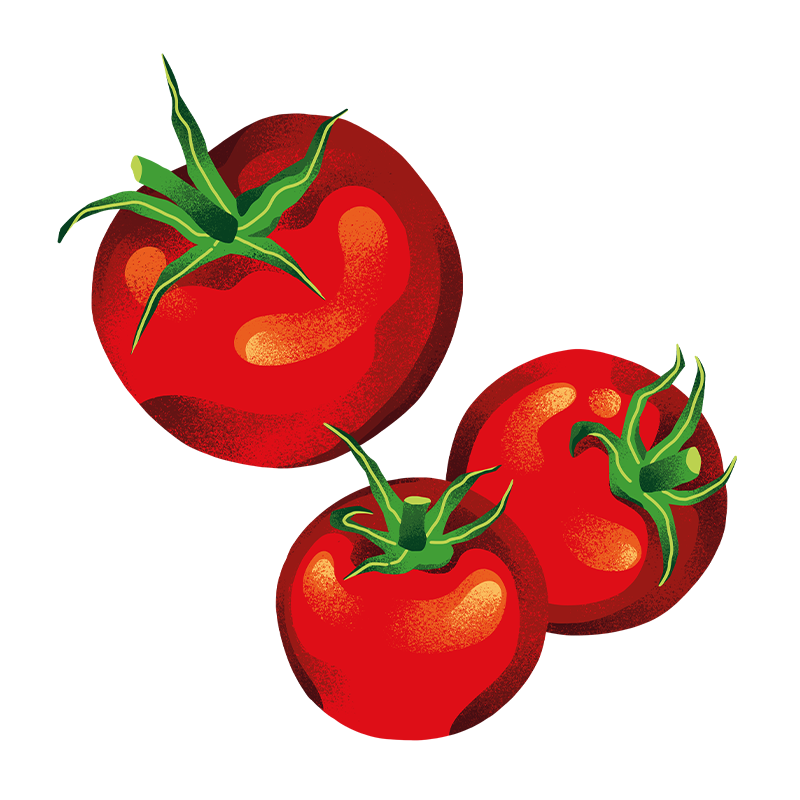 Schöni Foods Packaging Illustration Sandra Neuditschko Website_Tomaten.png