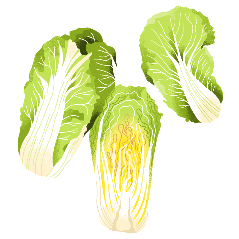 Schöni Foods Packaging Illustration Sandra Neuditschko Website_Chinakohl.png