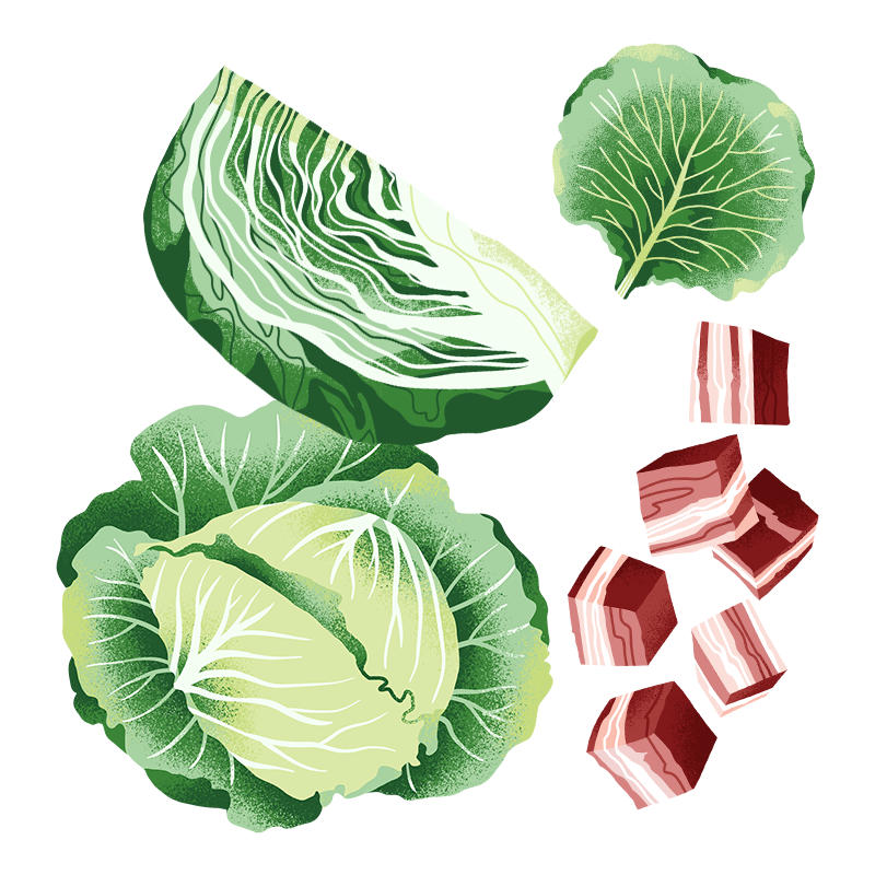 Schöni Foods Packaging Illustration Sandra Neuditschko Website_Weißkraut.png