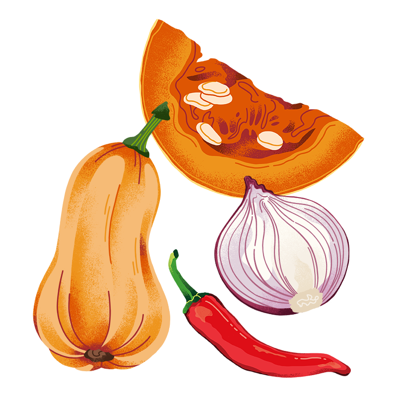 Schöni Foods Packaging Illustration Sandra Neuditschko Website_Kürbis.png
