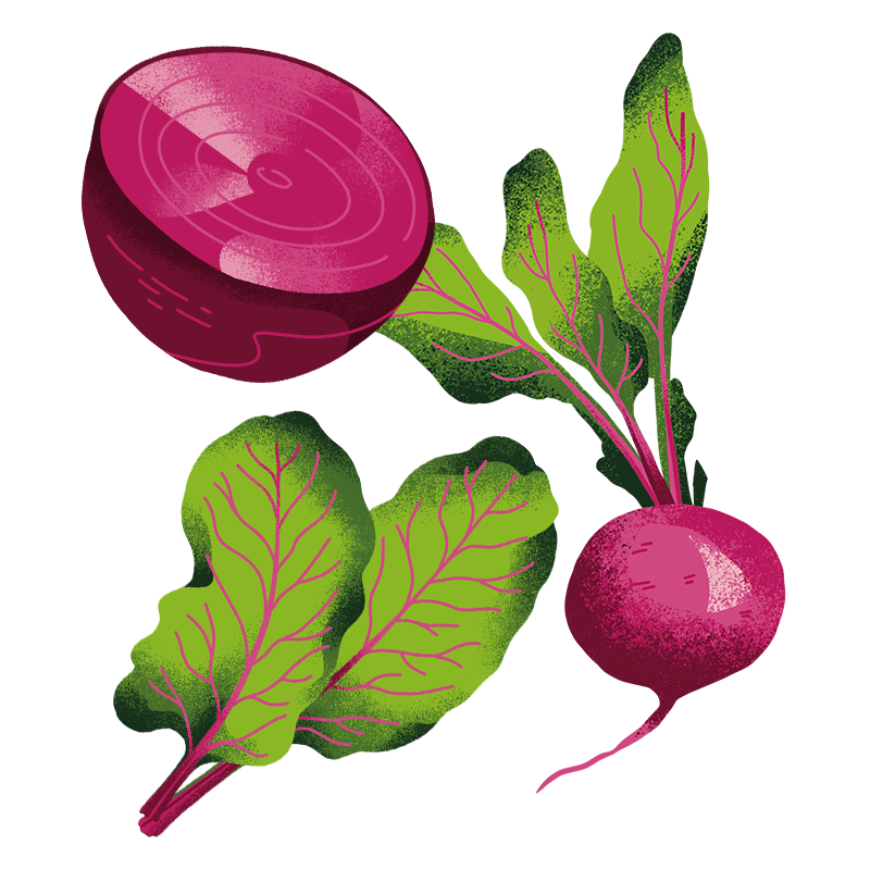 Schöni Foods Packaging Illustration Sandra Neuditschko Website_Rande.png