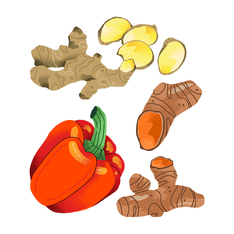 Schöni Foods Packaging Illustration Sandra Neuditschko Website_PaprikaIngwer.png
