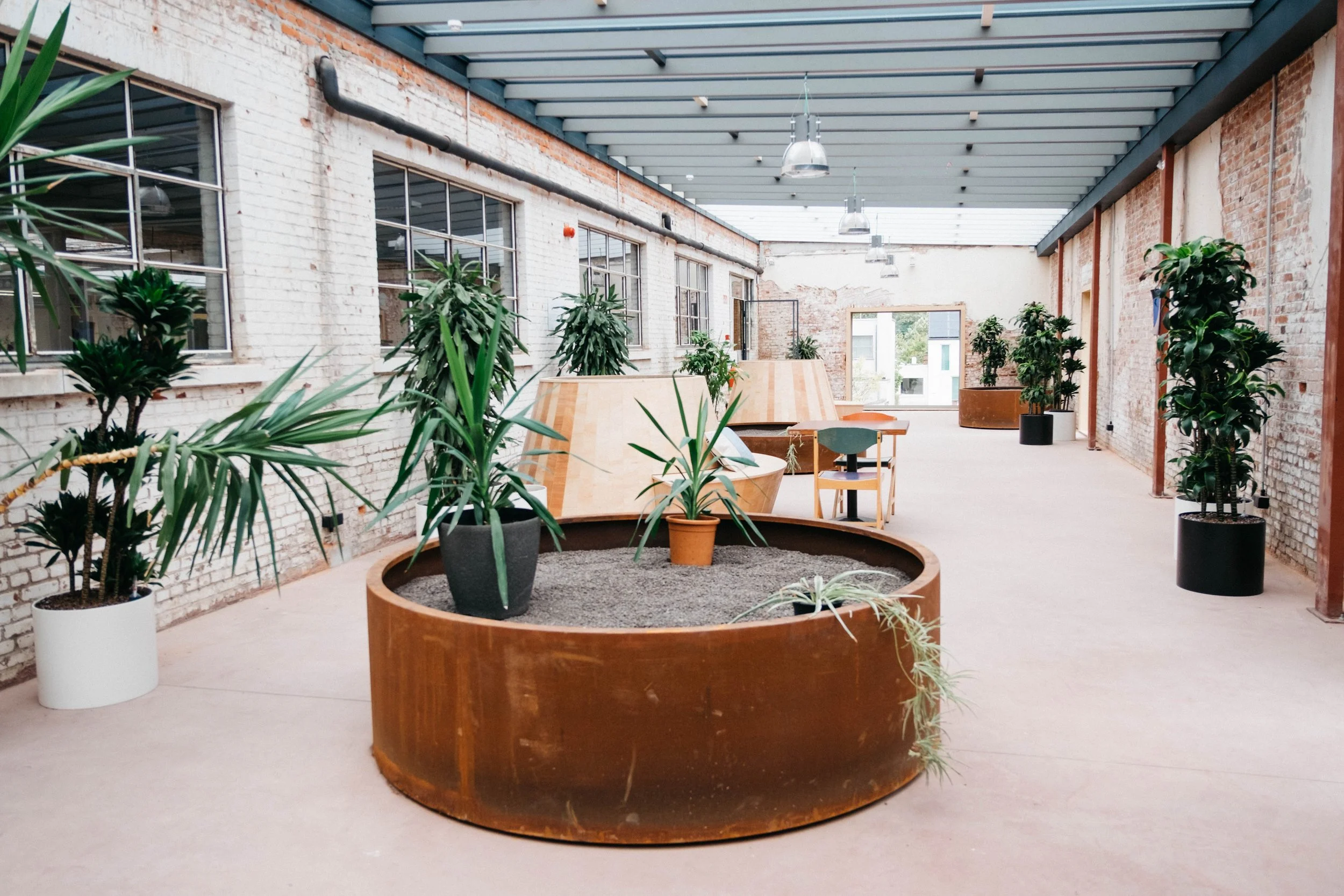 Copy of Cocon-25.jpg