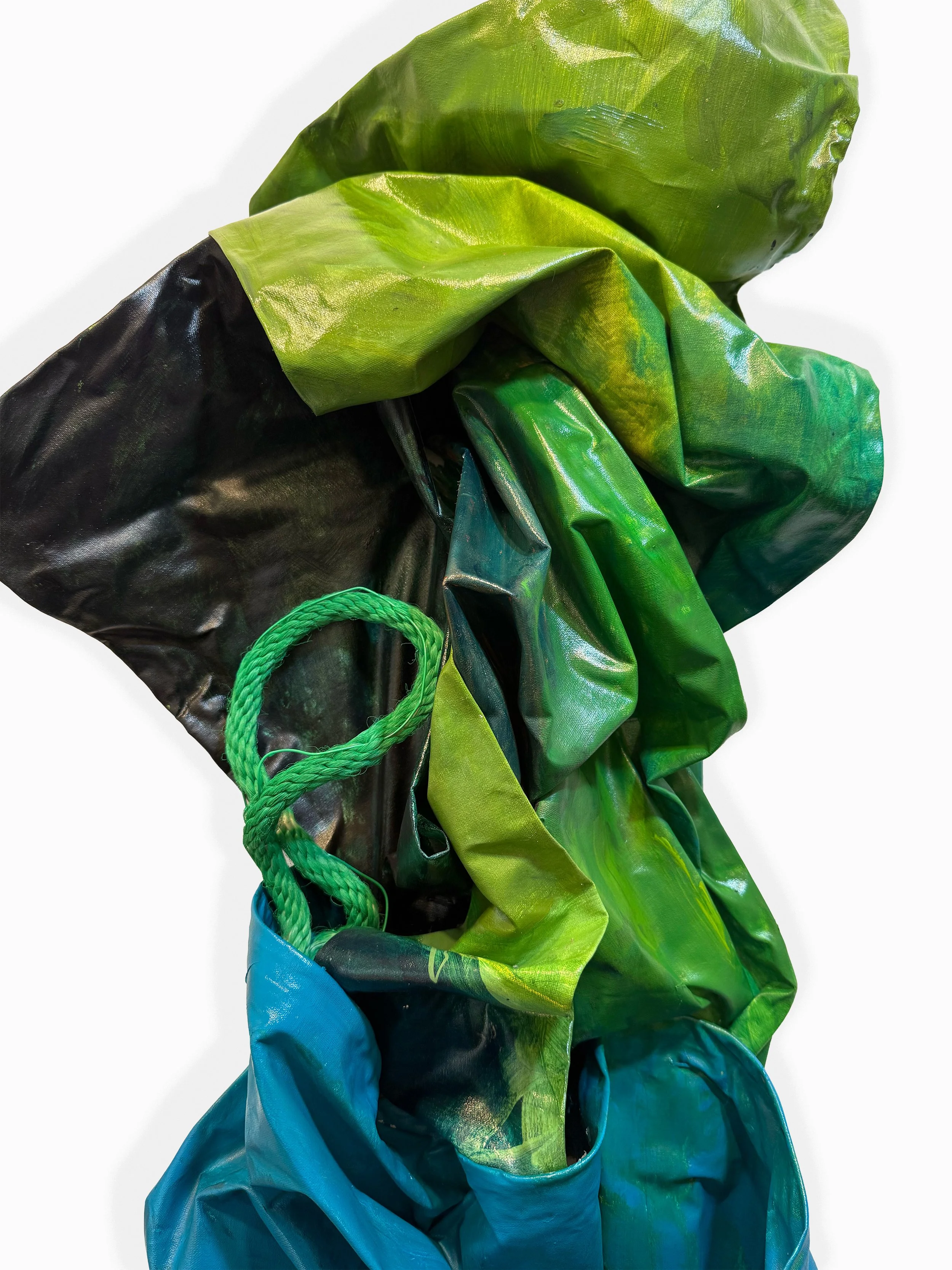 SoftBodied_2026Detail.jpg