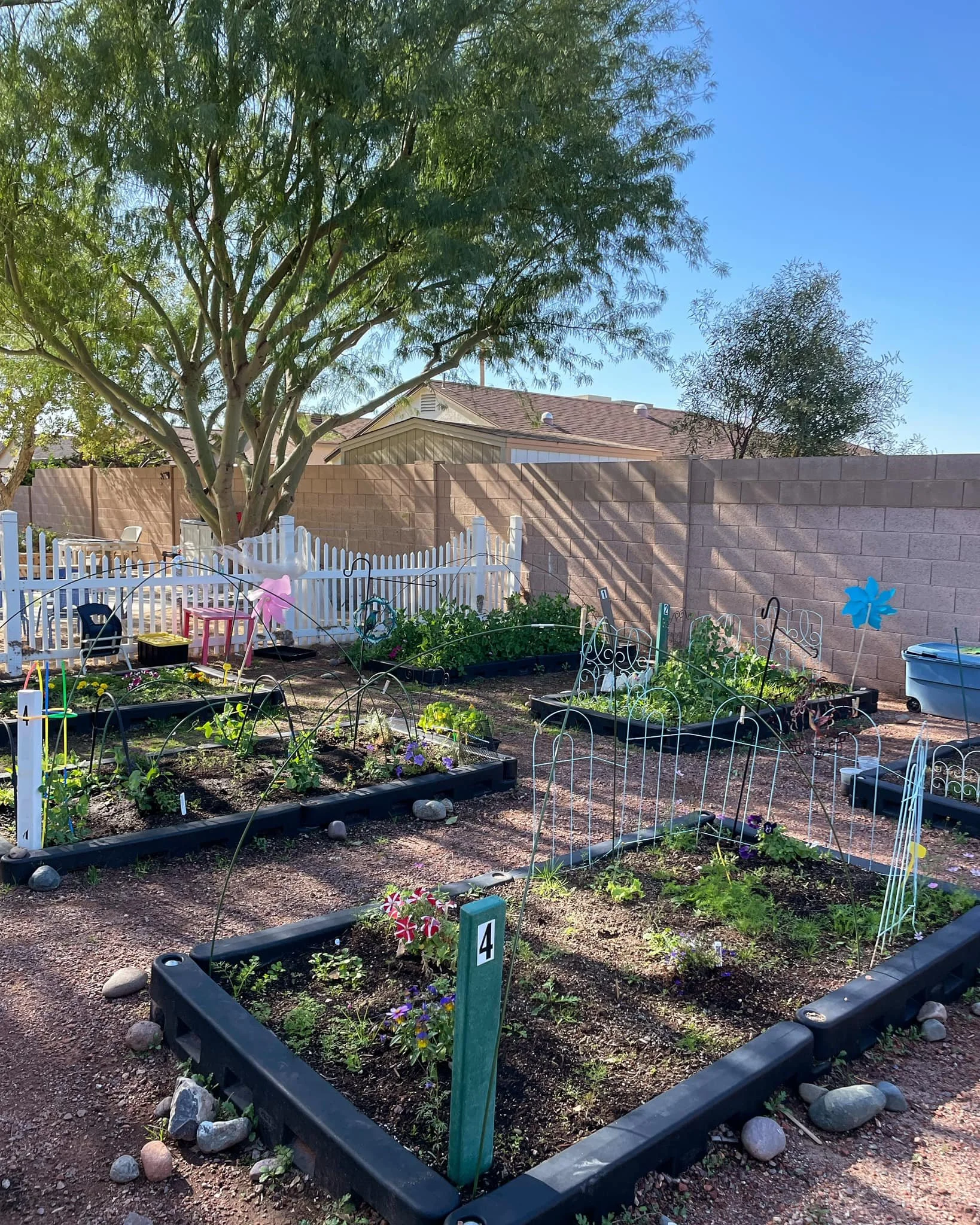 Organic preschool garden with rows of vibrant vegetables, nurturing young minds and fostering a love for sustainable living and environmental stewardship.