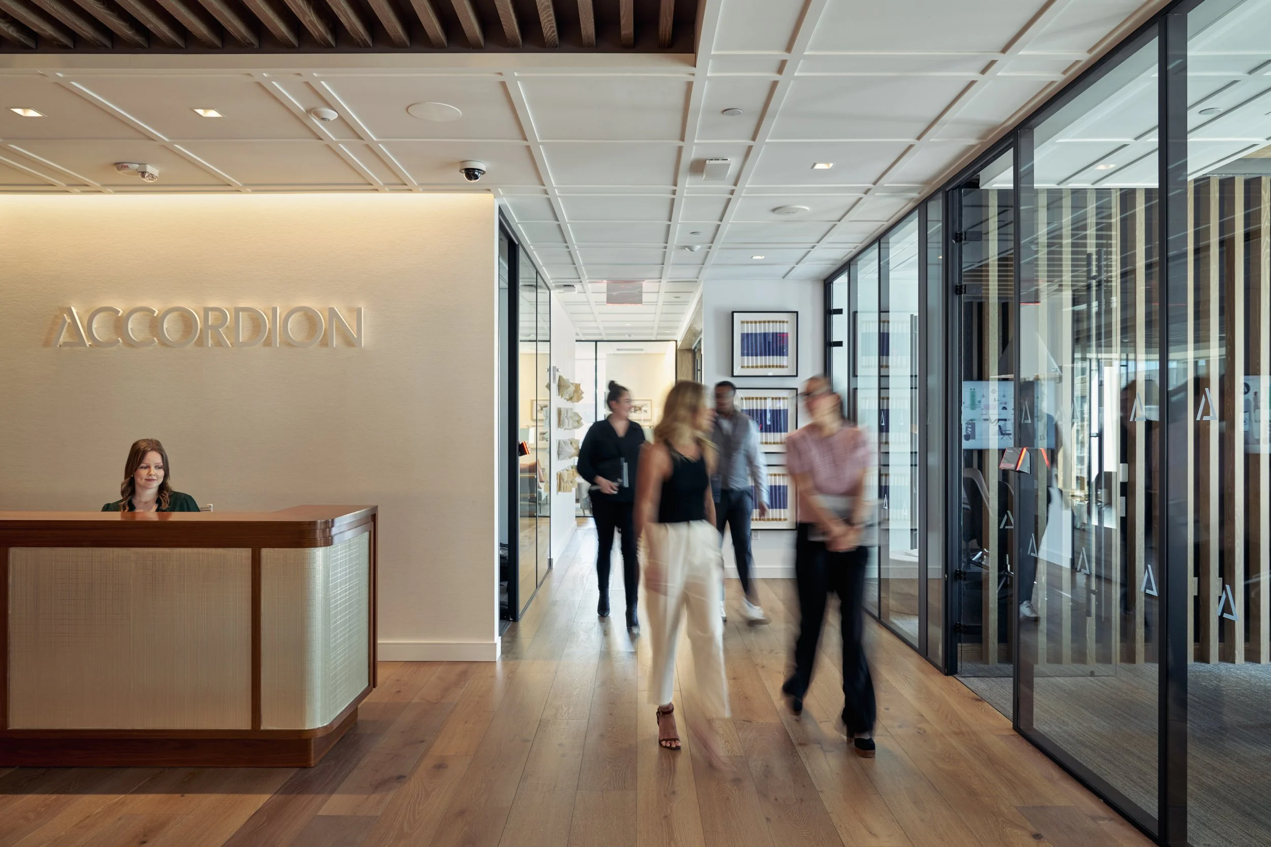 Accordion - Private Equity Consulting