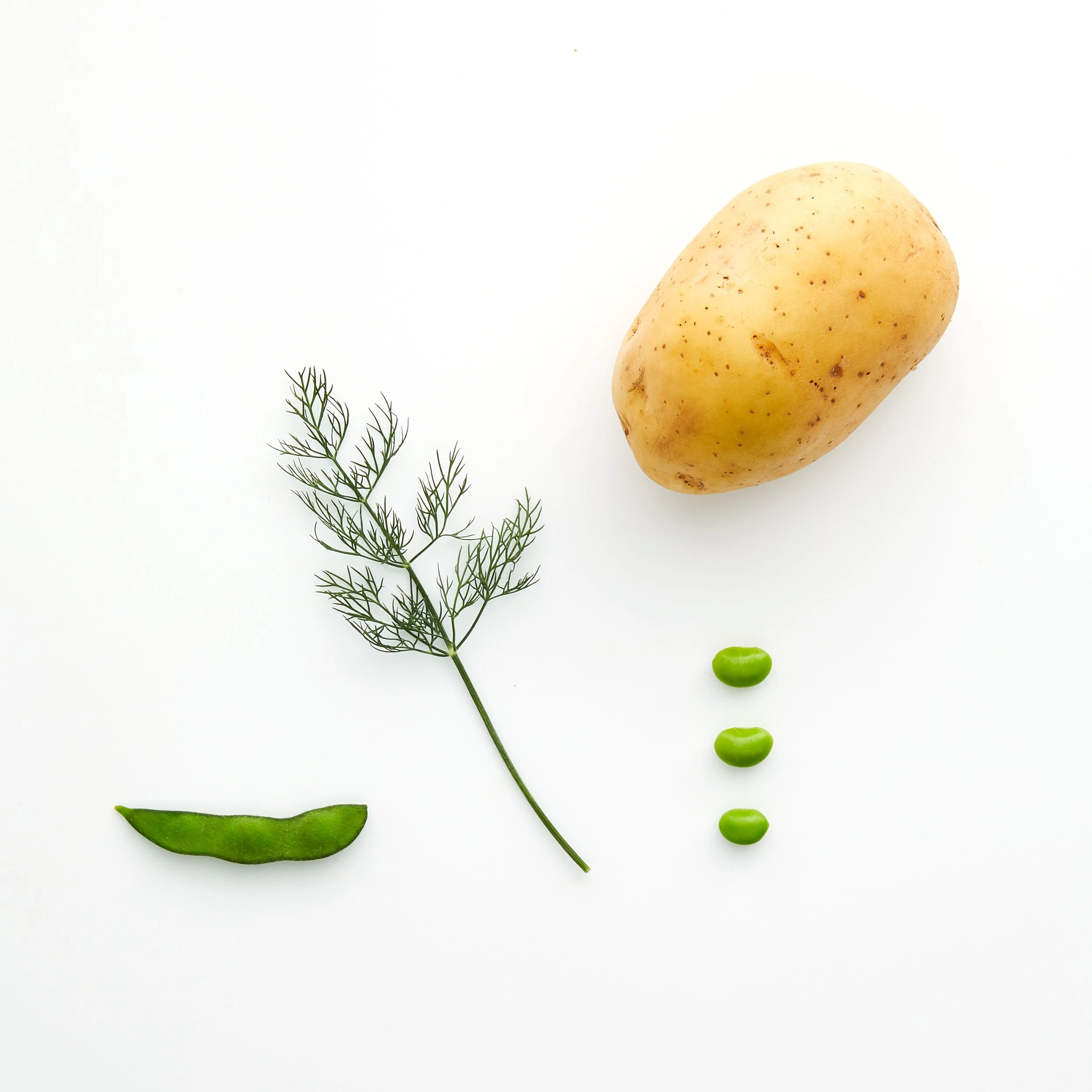 055-049-BACK_DILL_FLAVOURED_ZIPPERS_079.JPG