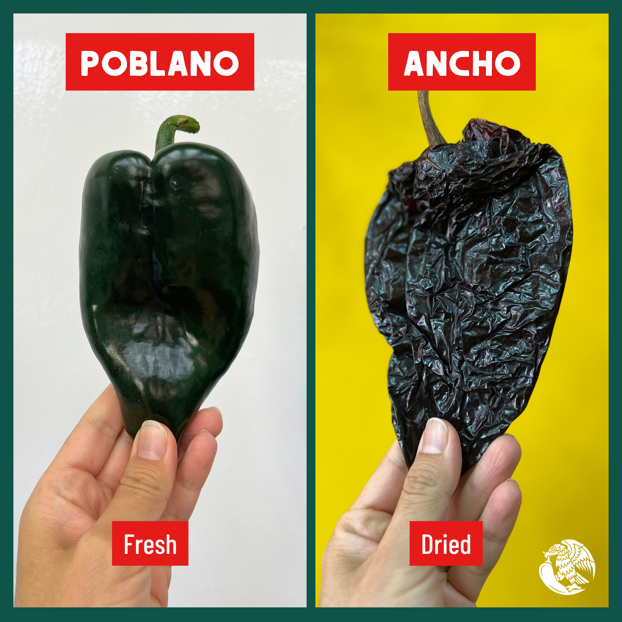 CM Chiles Masterclass for website square 3.png