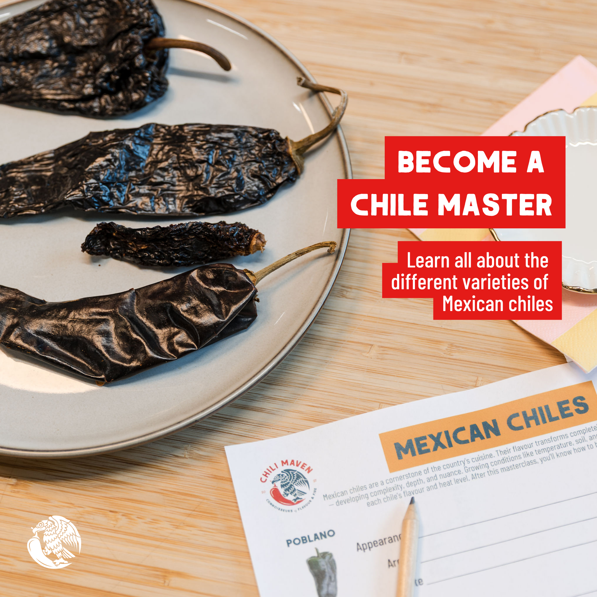 CM Chiles Masterclass for website square 2.png