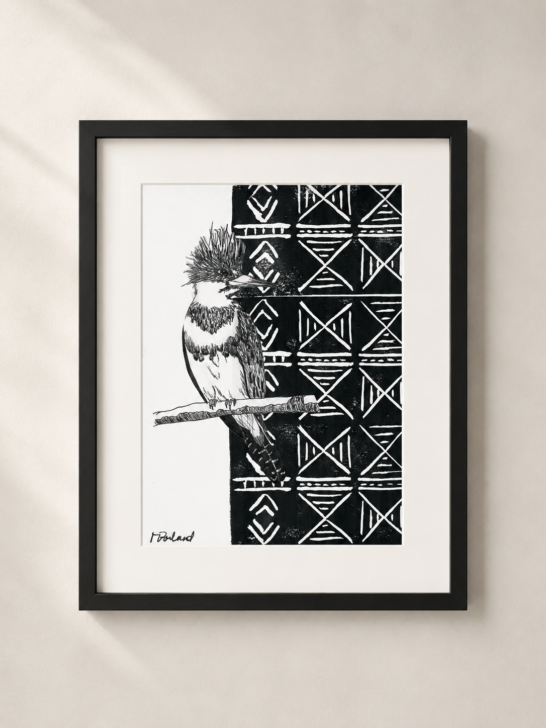 Belted Kingfisher With Mudcloth