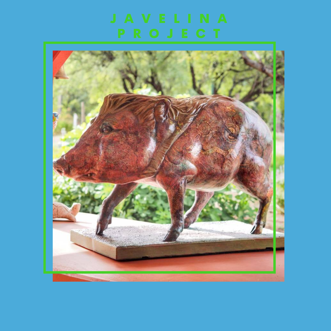 javelina project (1).png