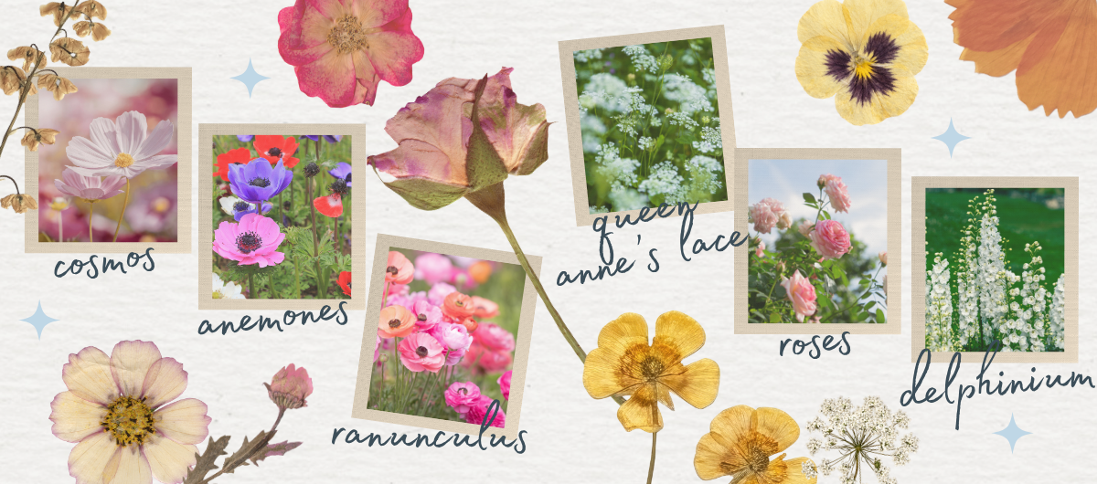 Flowers That Press Best (And Ones That Don’t)