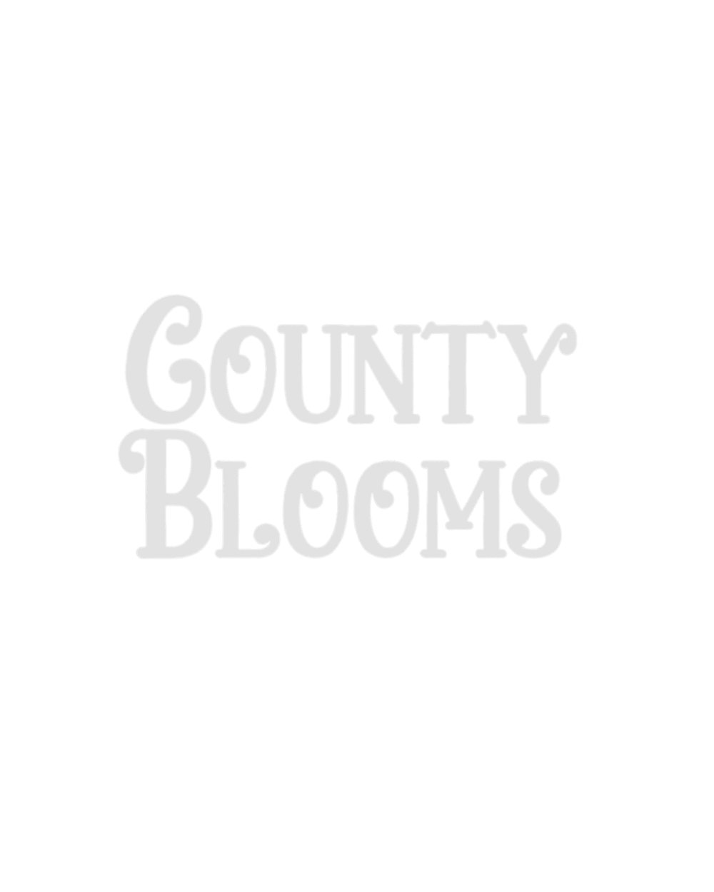 in-person-online-workshops-pressed-in-time