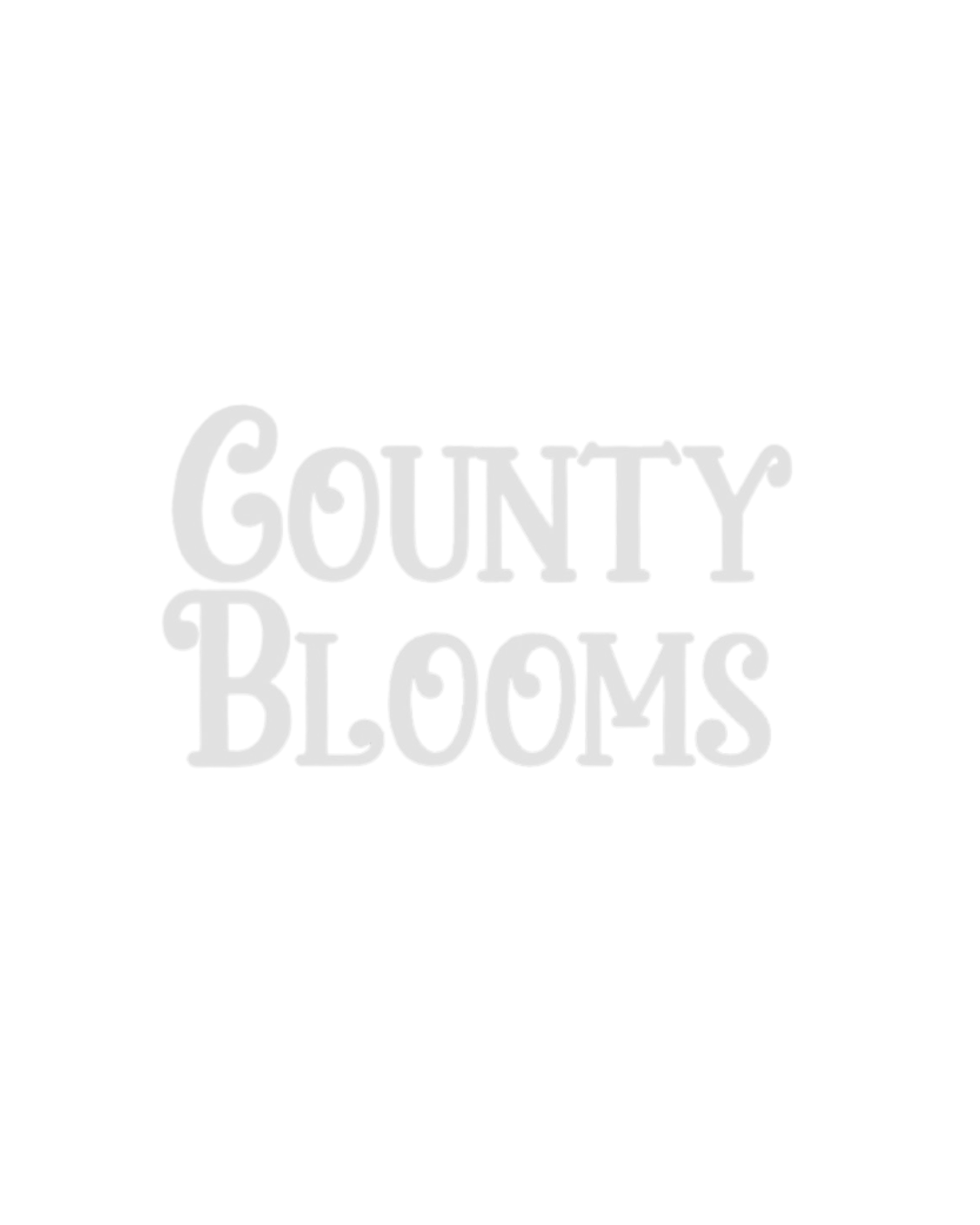 in-person-online-workshops-pressed-in-time