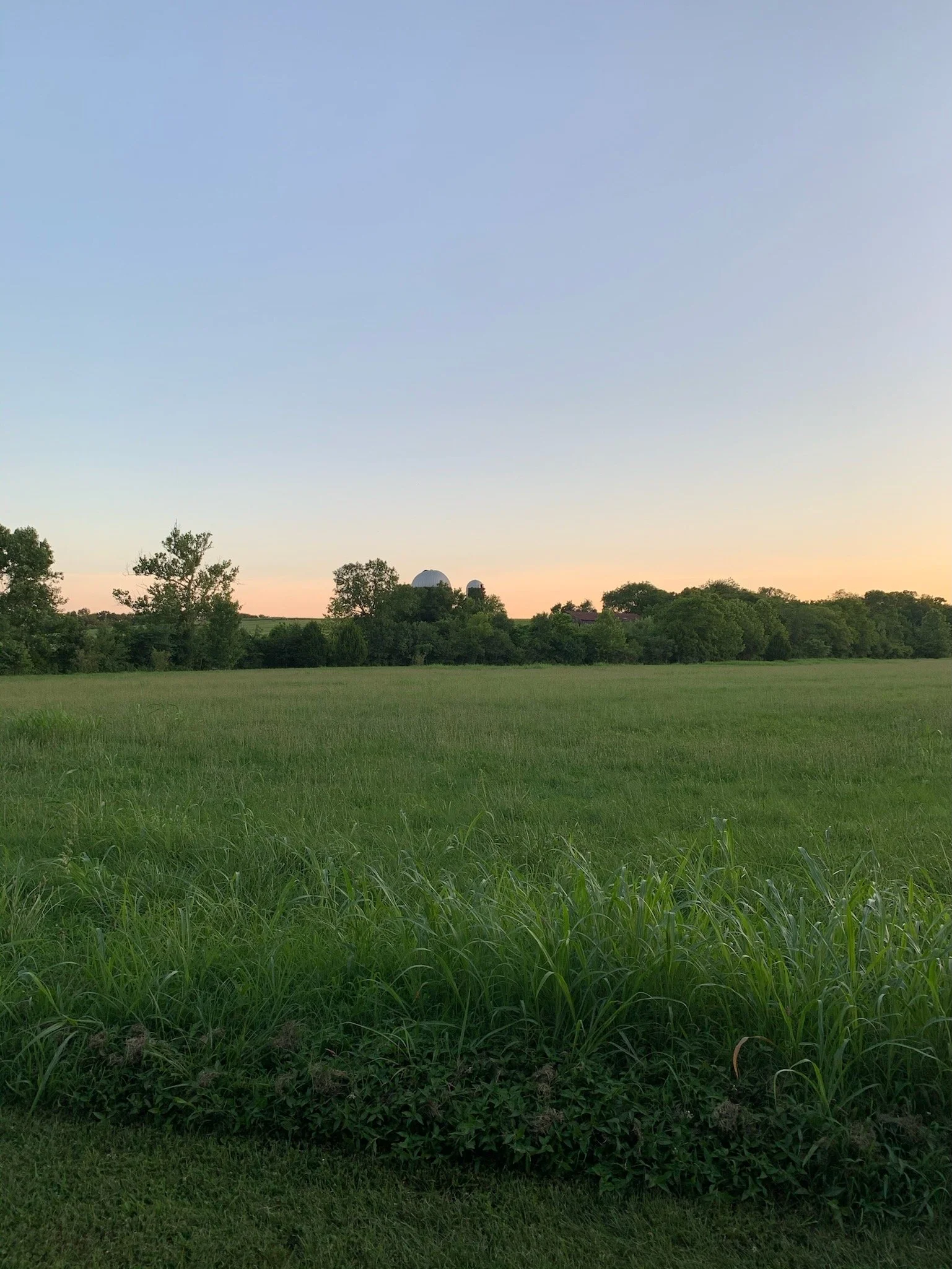 IMG_0145.jpeg