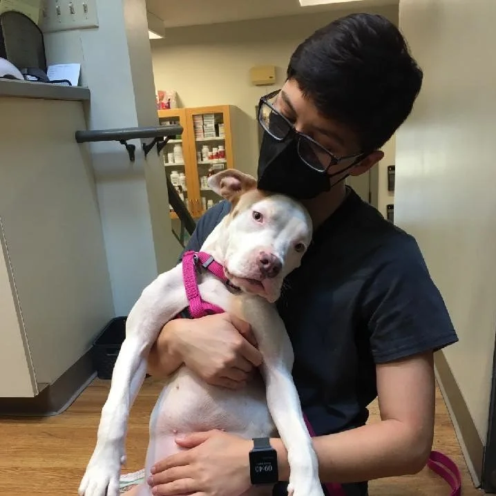 Meet the Staff — Eastlake Veterinary Hospital